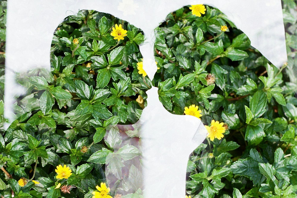 Decriminalisation Of Adultery And Consequences Of Adultery In India