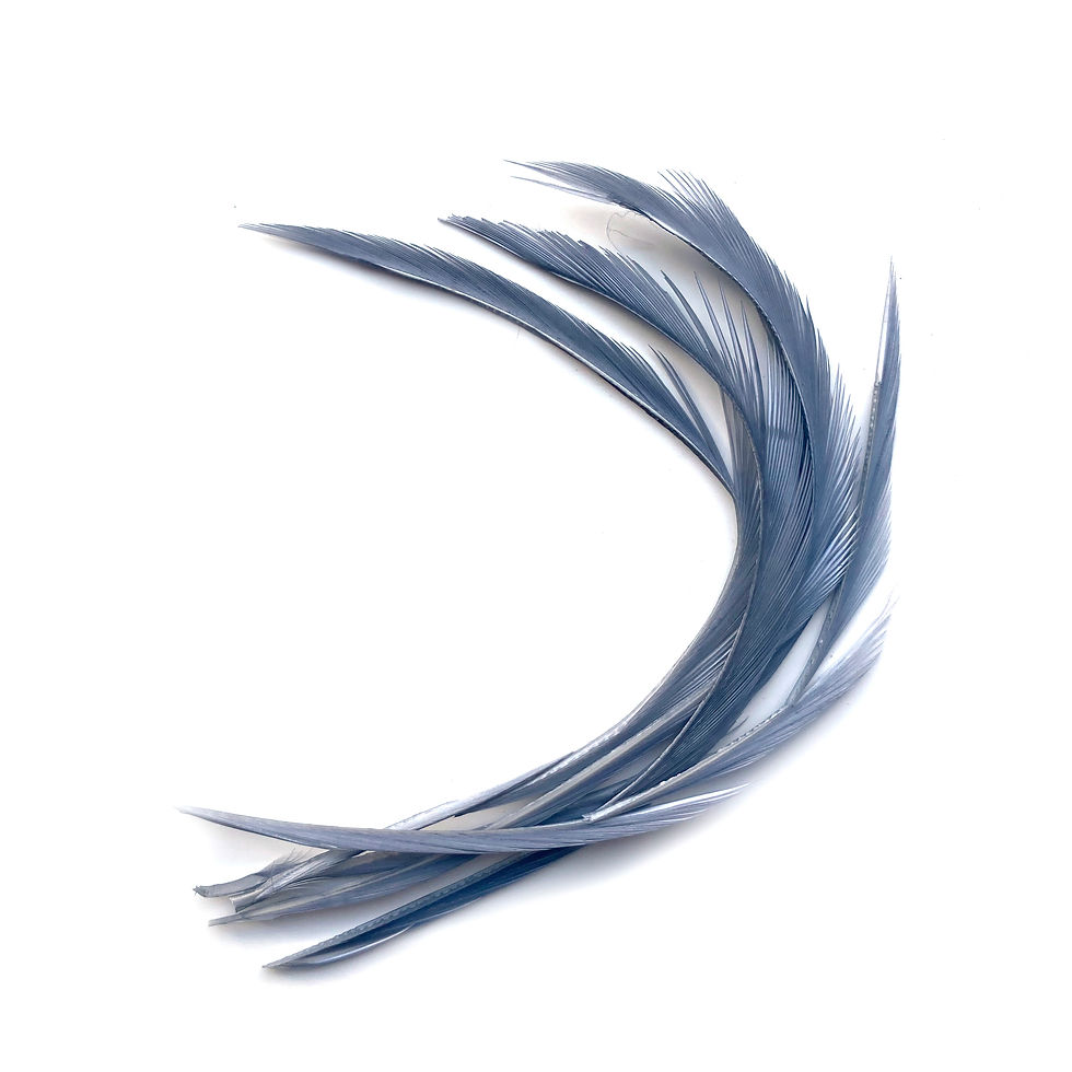 Thumbnail: Goose Biots