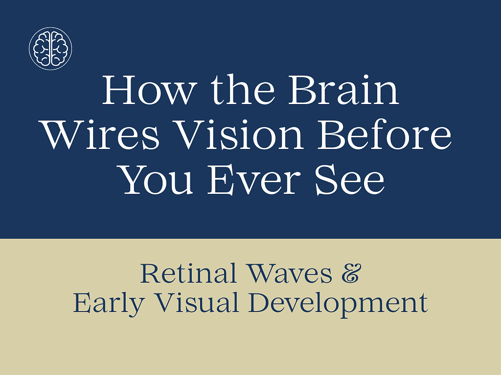 How the Brain Wires Vision Before You Ever See