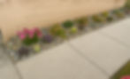 IMG_5245.jpeg