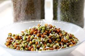 Sprouts