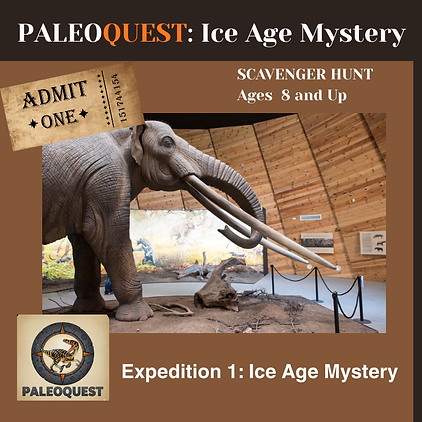 Task Card Covers (12).png