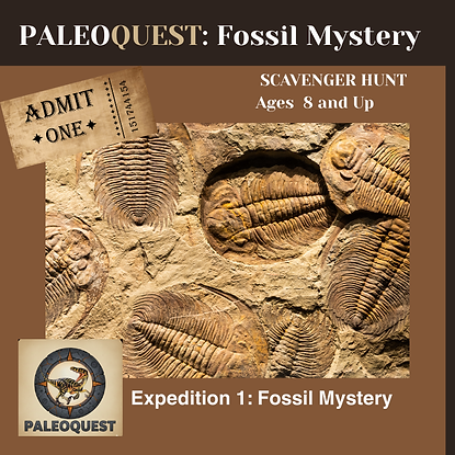 Task Card Covers (15).png