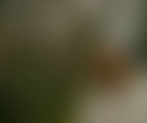 Woman walking in the woods alone