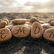 EMDR written on rocks
