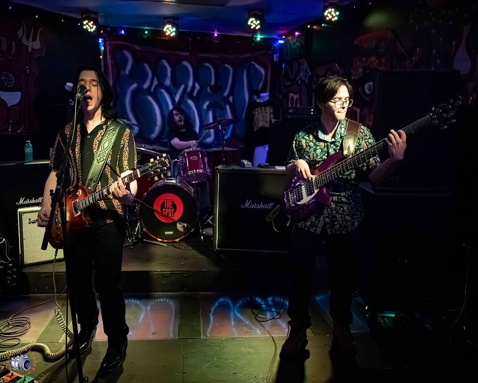 The Ravens Haven performs live in Newmarket, Ontario. Photo By: Michael Drukarsh