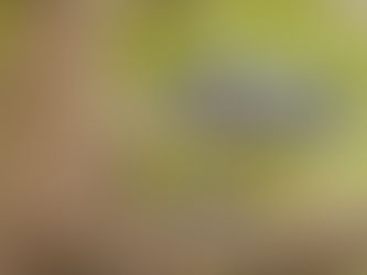 Wyjątkowo zimna wiosna