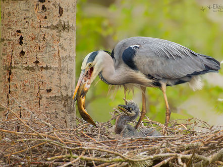 Wyjątkowo zimna wiosna