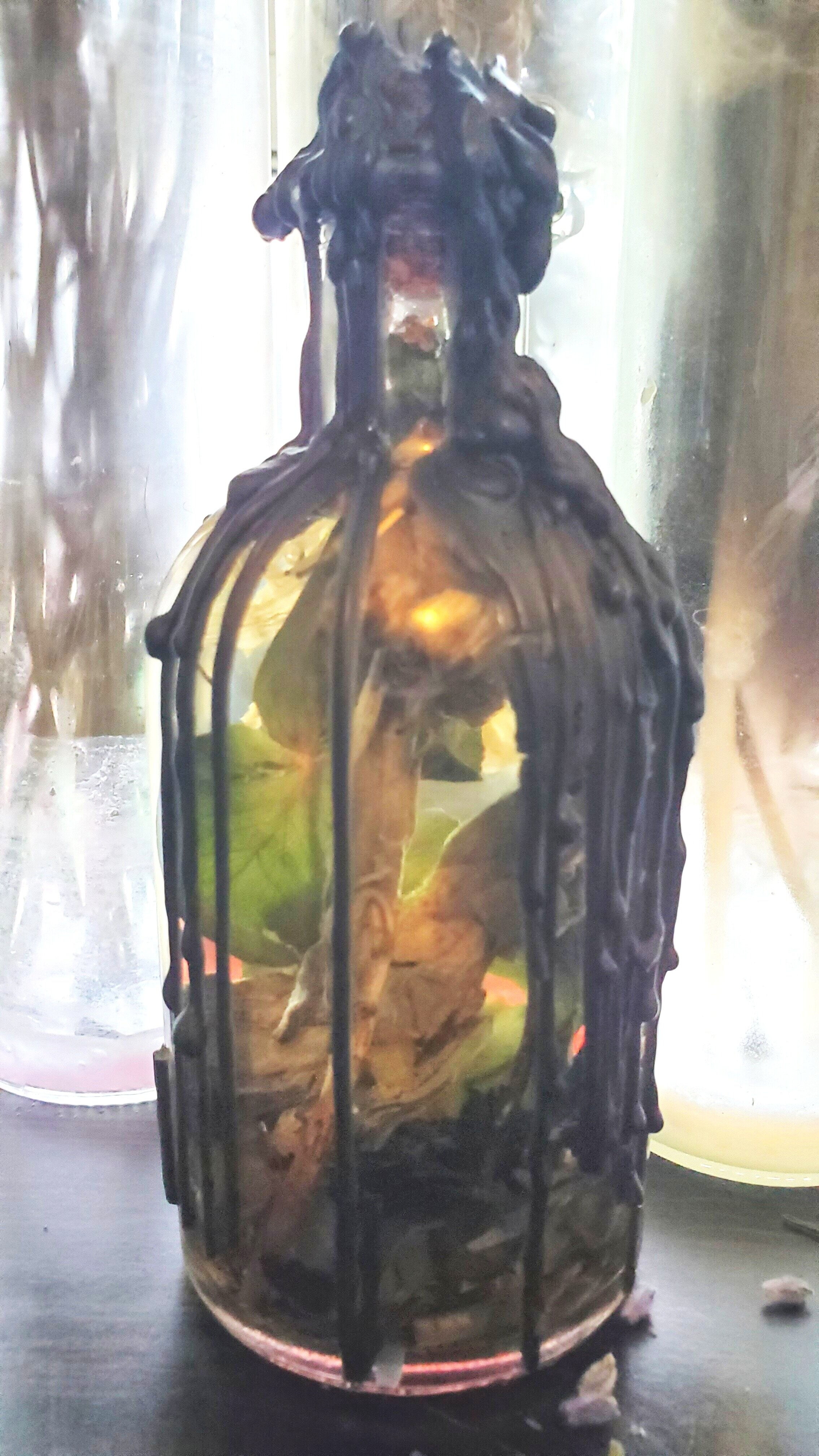 Protection - Magical Herbarium