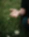 Copy of _MG_8820.jpg