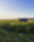 GreenShed1.jpeg