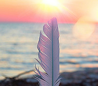 Feather by the ocean at sunrise – symbolizing energetic release, deep transformation, and emotional clearing through Deluxe Healing sessions