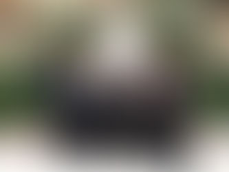 Southwestern SIFE Wins Regional Competition