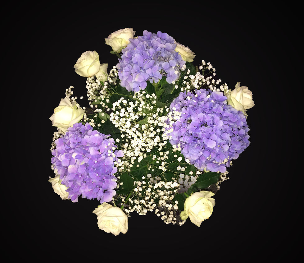 03 photobook alex ROSE 2025