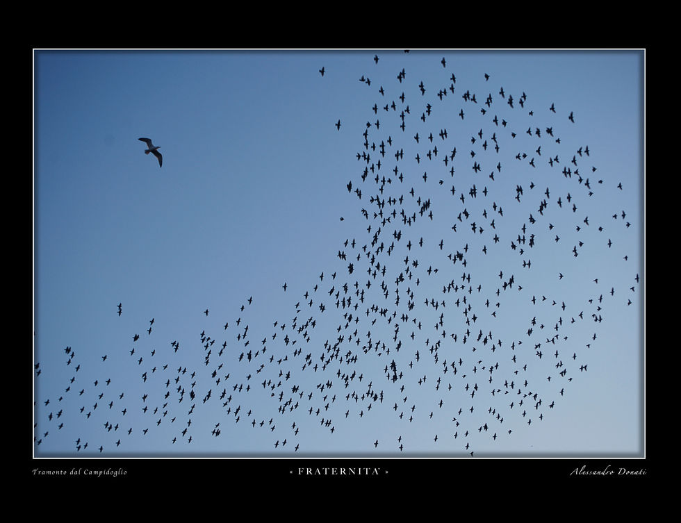 Ortus et Occasus-1-86_HQ_Pagina_57