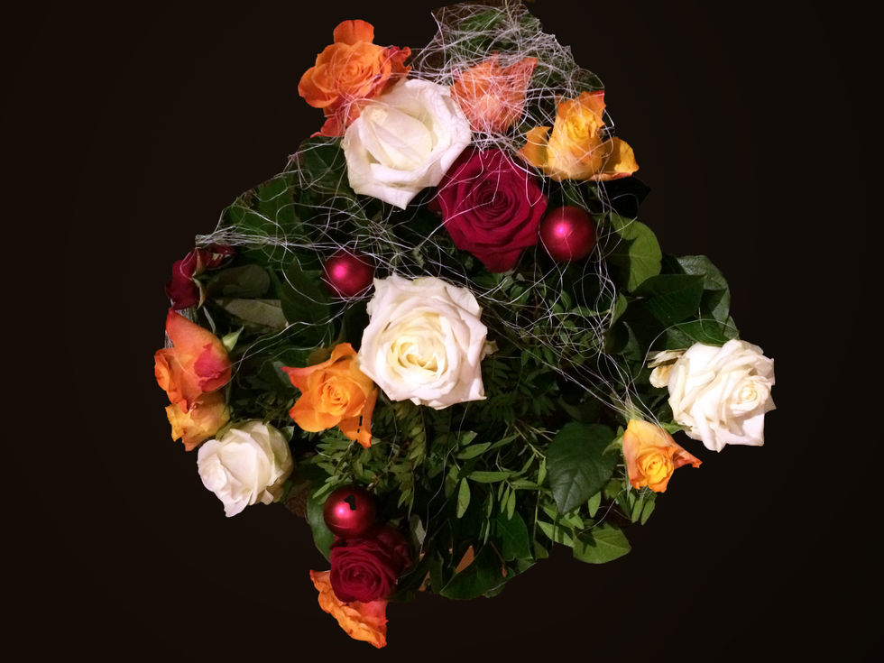 14 photobook alex ROSE 2025