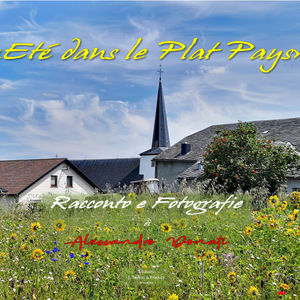 Eté dans le Plat Pays