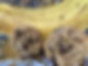 Banana Chip