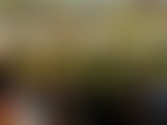 Christ's Missionaries "Activity Week" at SDH Holland Village