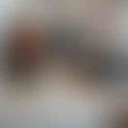 kebersamaan terlihat dalam kegiatan kulminasi, di mana murid-murid aktif berpartisipasi dalam Kuliner Nusantara, Pameran Literasi, Permainan Literasi Interaktif, dan Pentas Seni, menciptakan kenangan tak terlupakan dalam Pekan Literasi