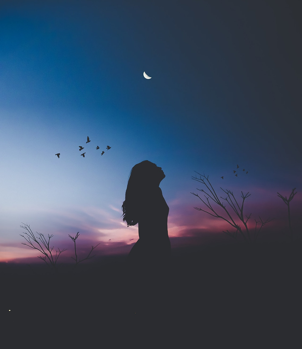 Dare to be Still