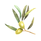 Untitled design(7).png