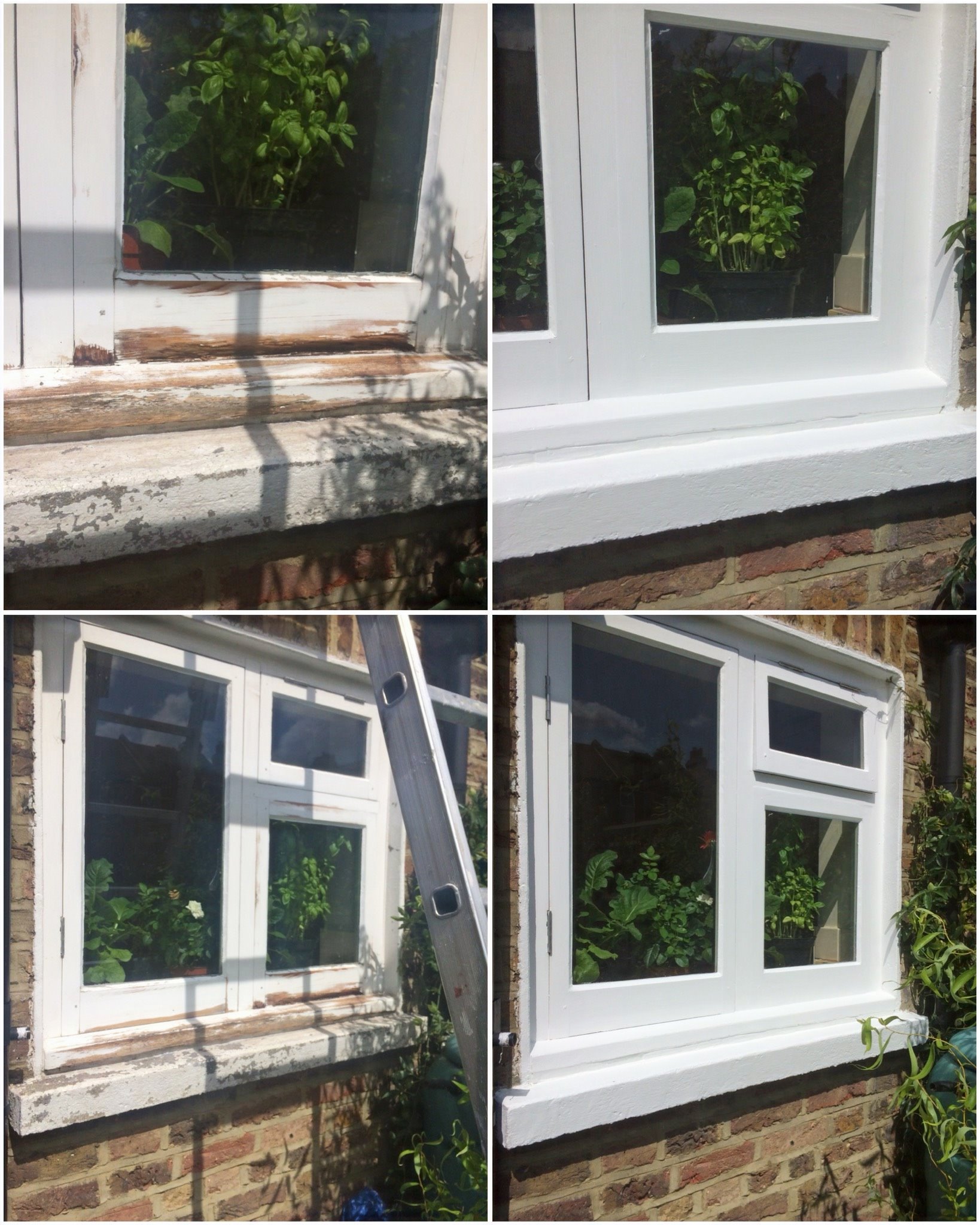 Windows & Cills South Norwood