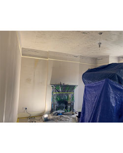 Living room painting Beckenham