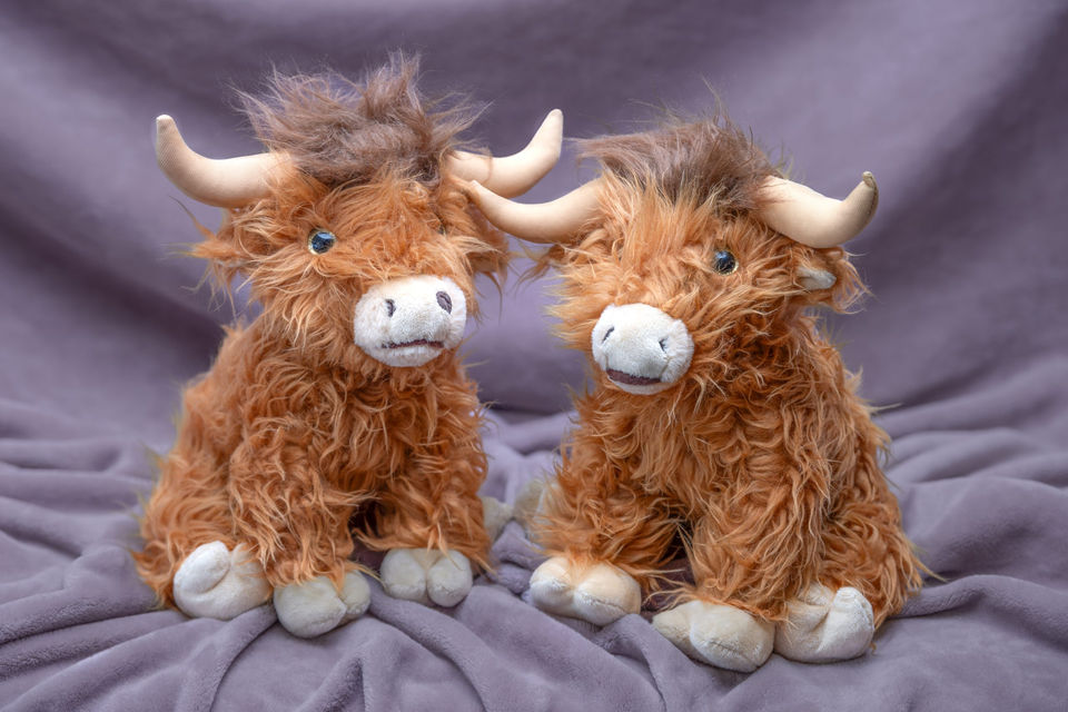 2 Organic buckwheat stuffed hairy cow toys