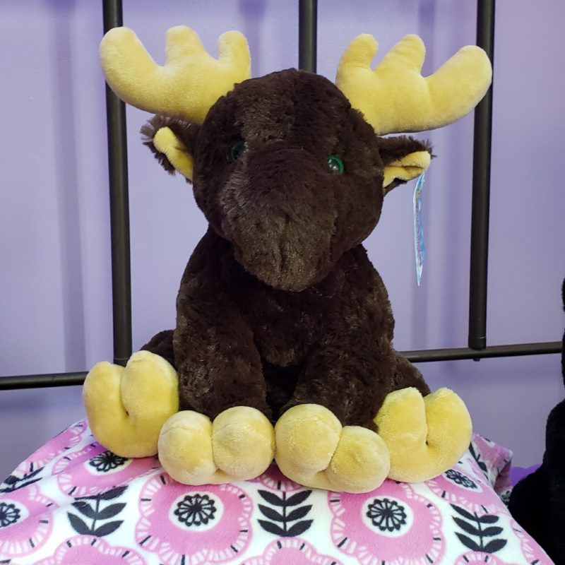 Organic buckwheat stuffed moose