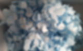 HORTENSIA AZUL PRESERVADA