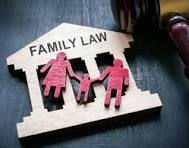FAMILY LAW EXPERT - (02) 4909 4897