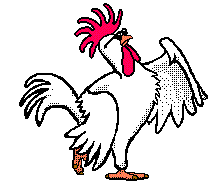 coq-blanc.gif