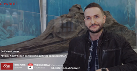 "The One Show - Rutland Sea Dragon short film"