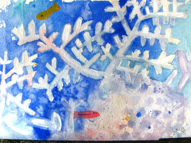 coral and small fish