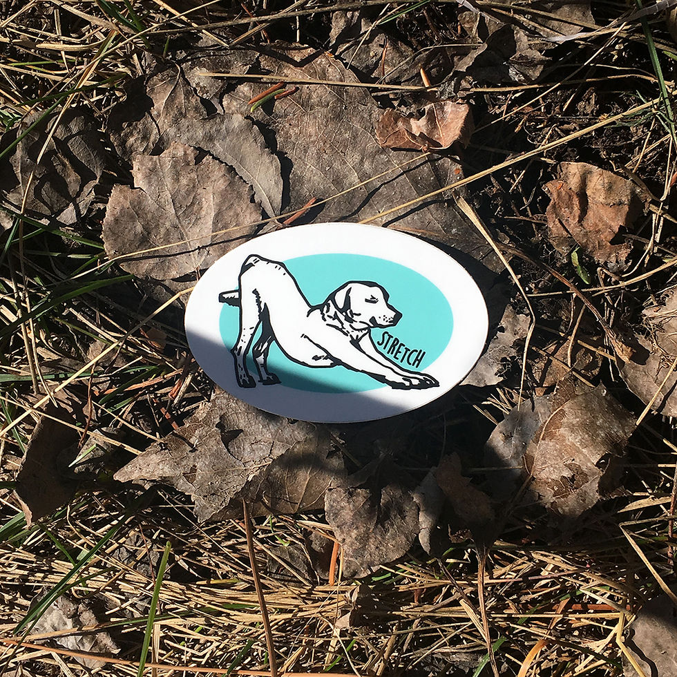Thumbnail: Stretch Downward Dog Sticker