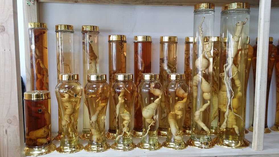 담금주 전시관34