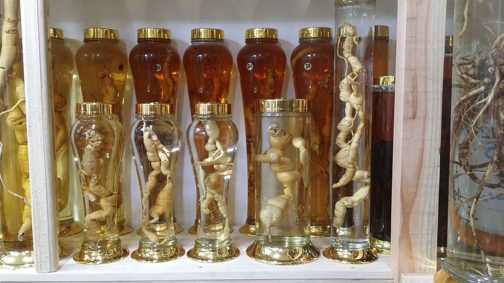 담금주 전시관33