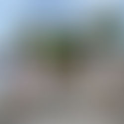 【会員寄稿コラム】藤原秀郷流を訪ねて《8》 佐野四天王「山上道及」を追いかけて