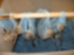 5 birds are supported in makeshift slings during rehabilitation