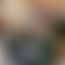 Rockport Ladies' Lunch 2025