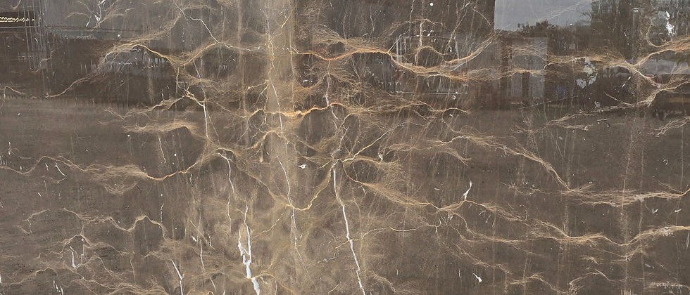 Thumbnail: Choclate Desert Marble