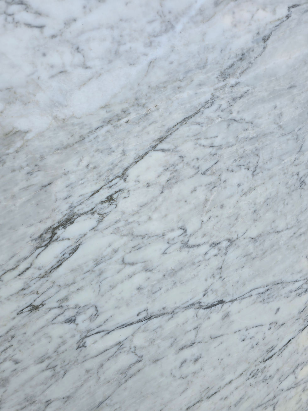 Thumbnail: Arabescato Light Marble