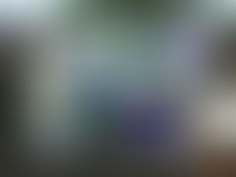 Towpath Exhibition 2015