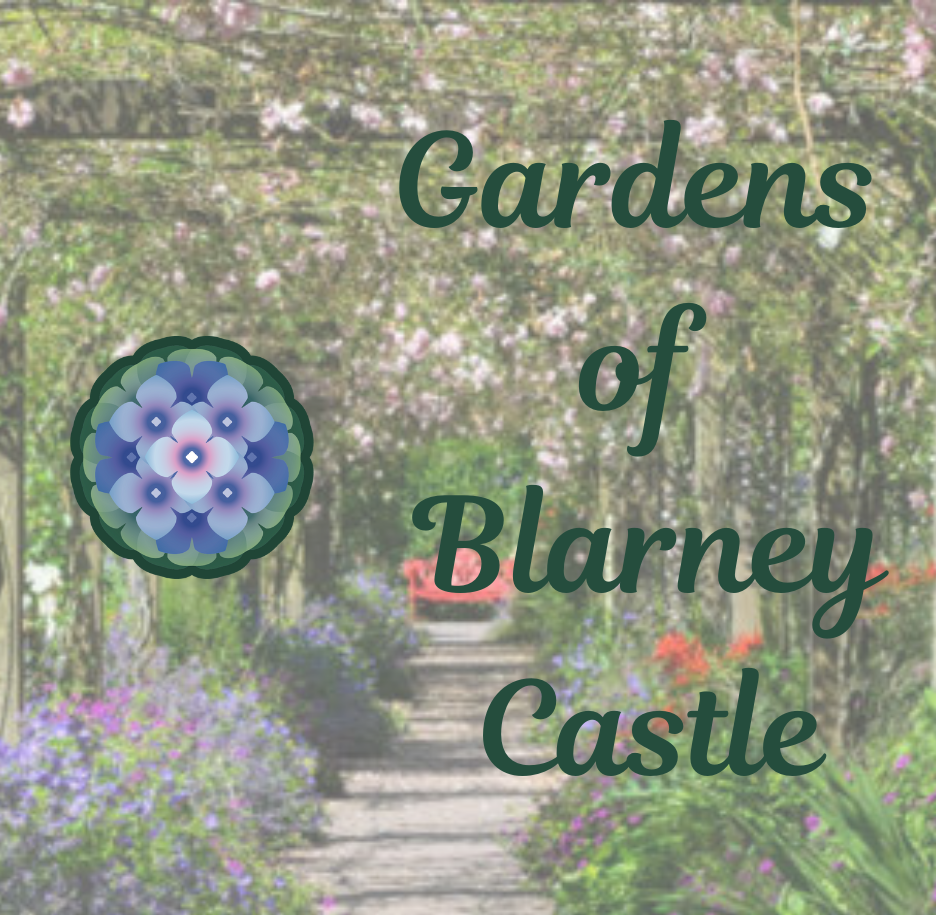 Gardens of Blarney Castle: A Botanical Journey Through County Cork