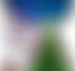 Lorenzo perto de uma árvore de natal cheia de presentes