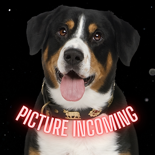Picture Incoming (2).png