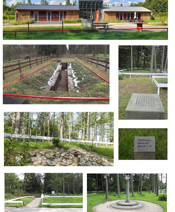 WhatsApp Bild 2025-03-12 um 19.00.00_f9402dff.jpg