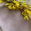 Thumbnail: Chiffon