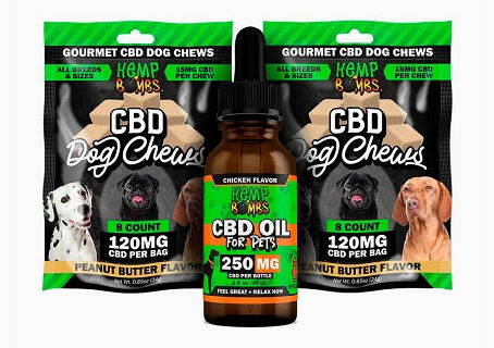 Must Learn About Best CBD oil For Cats